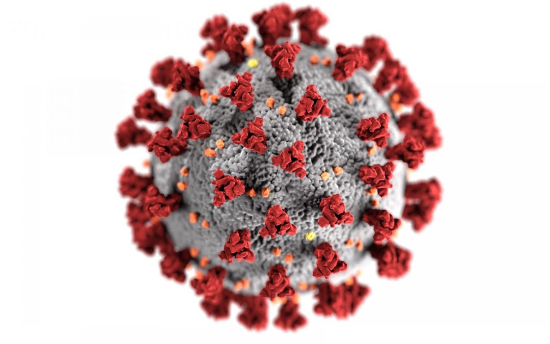 Sobre o Coronavírus – Esclarecimentos e como prevenir