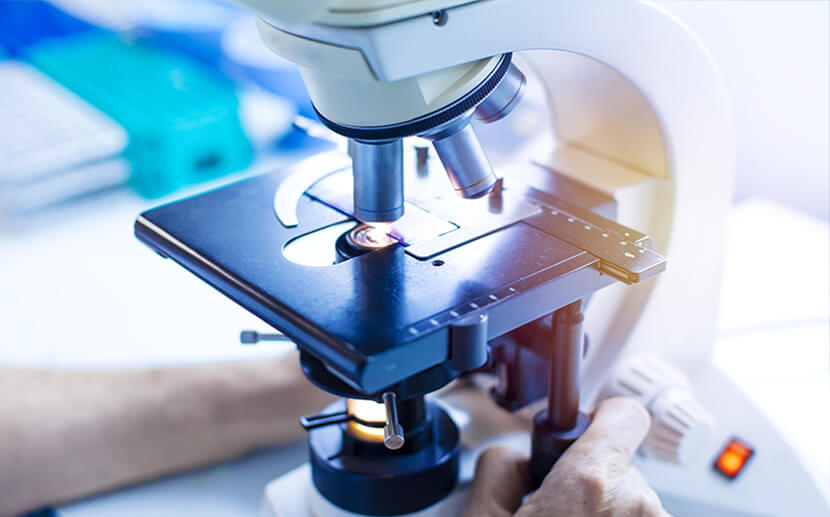 Lab-Tests-Online Lab Tests Online